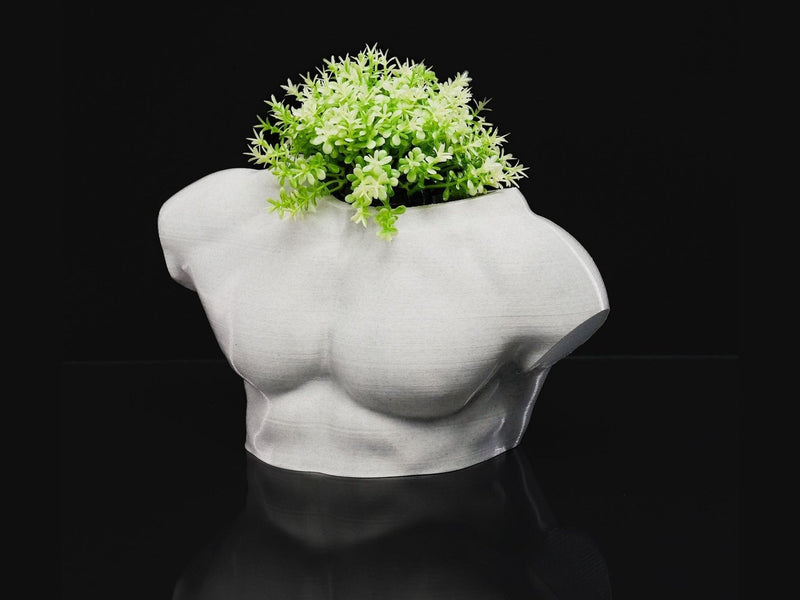 Muscle Chest Planter, 3D printed by SealsPrints
